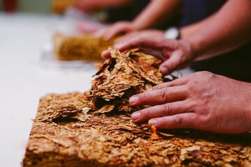 Philip Morris investirà €1 miliardo in Italia per sostenere i giovani imprenditori
