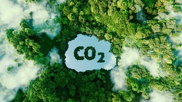 Le 10 aziende italiane che hanno ridotto maggiormente le emissioni di carbonio in 5 anni