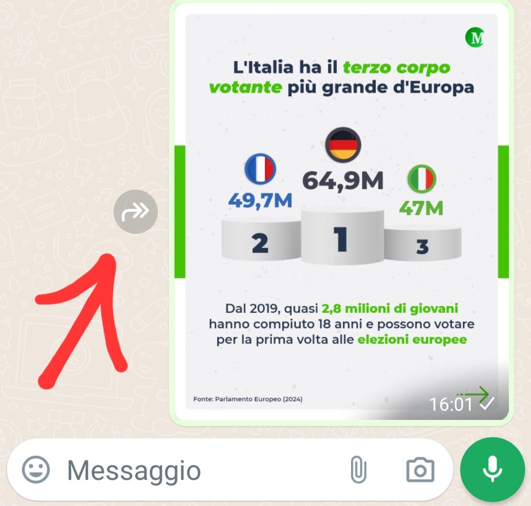 Double arrow icon in WhatsApp