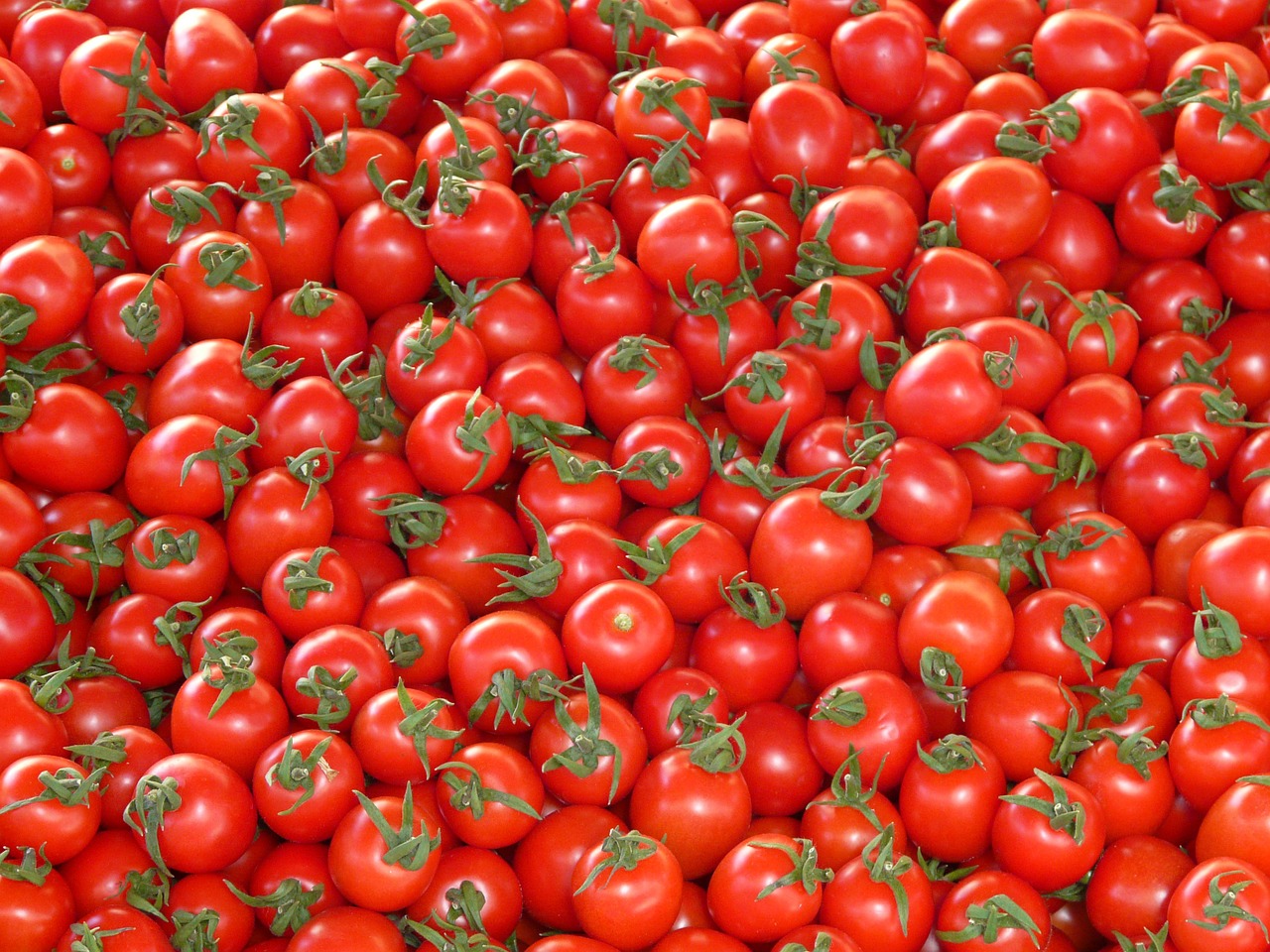 Passata Petti: perché 4.400 tonnellate di pomodoro sono state ritirate dal  mercato