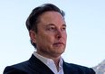 Perché Elon Musk ha lasciato la Casa Bianca, le vere ragioni della rottura con Trump