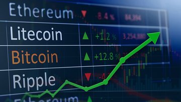 Entro il 2028 Bitcoin e una altcoin cresceranno del 350%