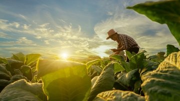 Bonus agricoltura fino a 150.000 euro, ancora pochi giorni per chiederlo
