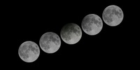 Eclissi di Luna 10 gennaio 2020: come vederla dall'Italia
