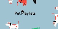 Spotify, playlist per cani e gatti soli in casa: funziona davvero?