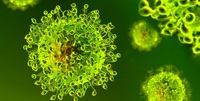 Coronavirus isolato: cosa significa per l'arrivo di un vaccino