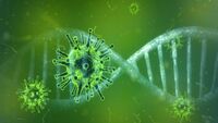 Coronavirus, scoperto un nuovo gene misterioso: ecco qual è