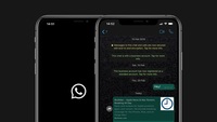 WhatsApp Dark Mode non funziona: cosa fare e come risolvere