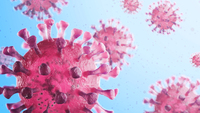 Coronavirus: focus su America Latina e USA. Cosa succede?