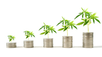 Cannabis legale per risollevare l'economia del Paese: la proposta di 100 parlamentari