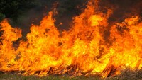 Maltempo: incendi a Roma per il caldo, domani allerta gialla