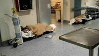 Pazienti Covid in terra all'ospedale di Rivoli (Torino): la denuncia degli infermieri