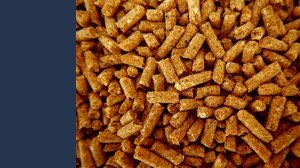 Cenere camino e stufa a pellet: dove buttarla nella raccolta differenziata?