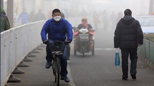 Ambiente, la grande beffa della cattura e sequestro del carbonio