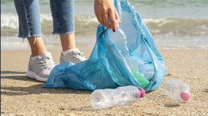 Abbandono rifiuti in strada, nei parchi e in spiaggia: cosa si rischia e quando è reato