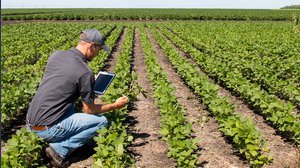 Bando imprese agricole, fino a 56.000 euro per questi acquisti