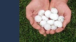 Perché grandina in estate (e perché i chicchi sono sempre più grandi)