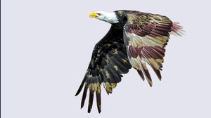 Come prepararsi all'esito delle elezioni USA 2024? Guida per gli investitori