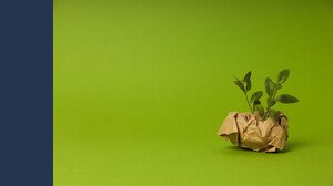 Mutui green, cosa sono e quanto si risparmia